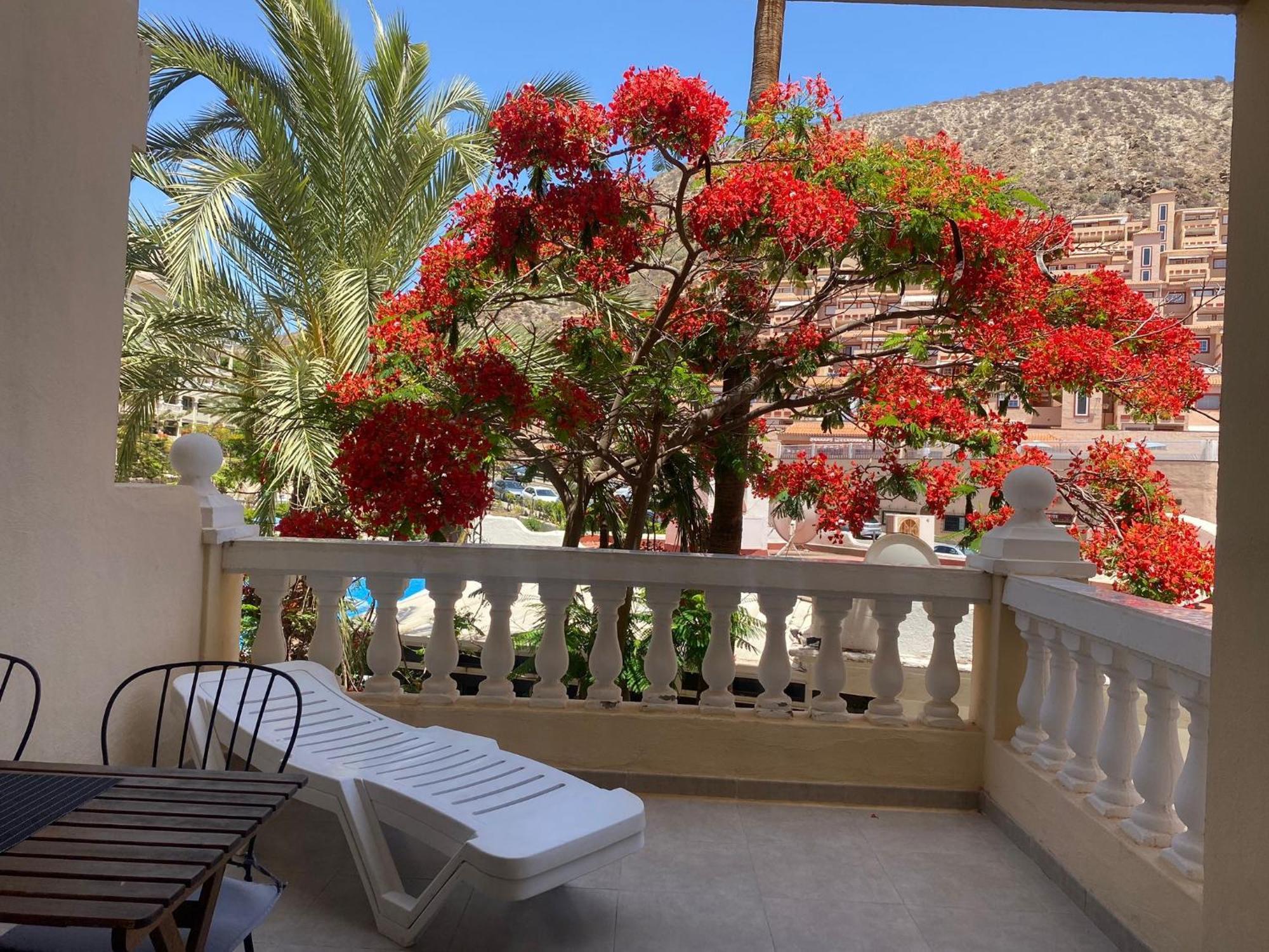Castle Harbour Samuel'S Studio Flat By Lovetenerife Los Cristianos  Luaran gambar